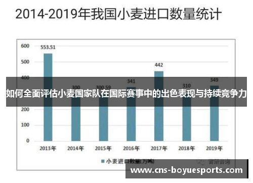 如何全面评估小麦国家队在国际赛事中的出色表现与持续竞争力