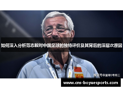 如何深入分析范志毅对中国足球的独特评价及其背后的深层次原因