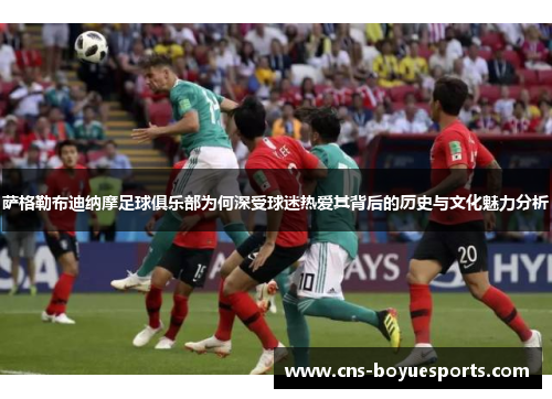 萨格勒布迪纳摩足球俱乐部为何深受球迷热爱其背后的历史与文化魅力分析