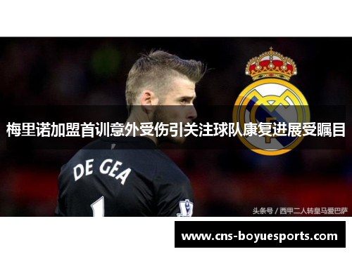 梅里诺加盟首训意外受伤引关注球队康复进展受瞩目